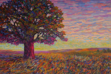 BIG OAK - SOLD