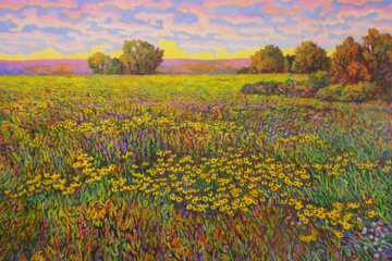 BLACK EYED SUSANS