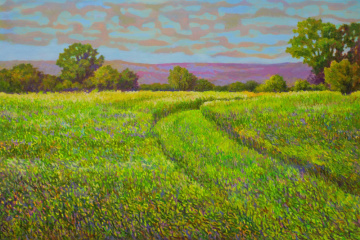 GRASS PATH, FLINT HILLS